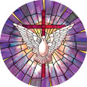 radiant dove decorative stained glass window cling film design